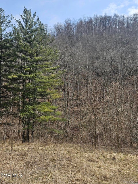 Photo #6: 792 Adria Road