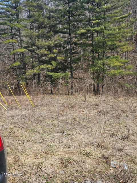 Photo #8: 792 Adria Road