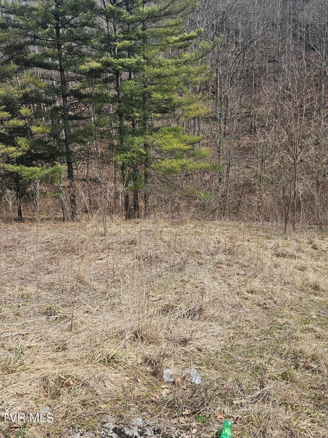 Photo #7: 792 Adria Road