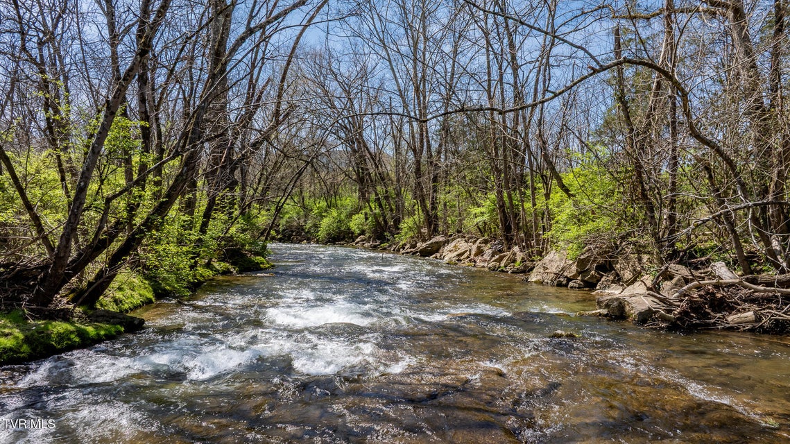 Photo #21: 1921 Volunteer Parkway