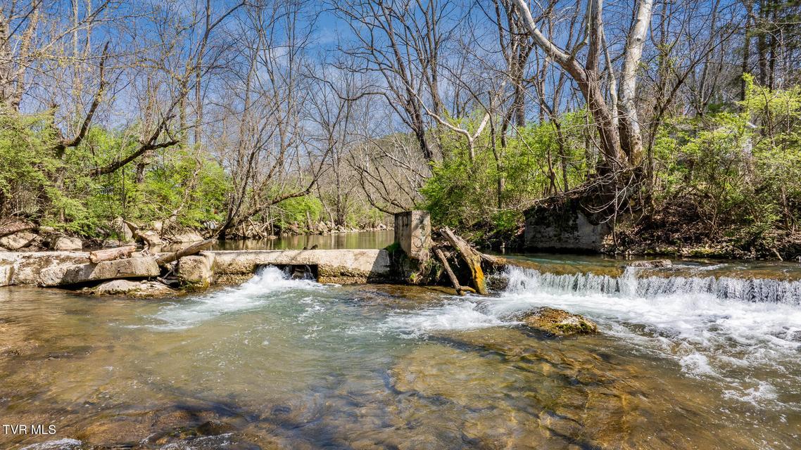 Photo #22: 1921 Volunteer Parkway