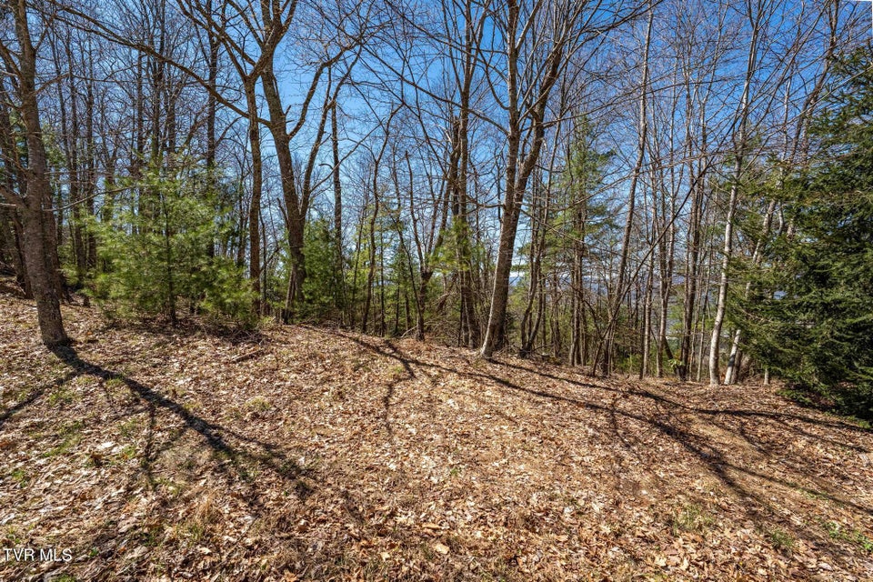 Photo #20: Lot 10 Callalantee Drive