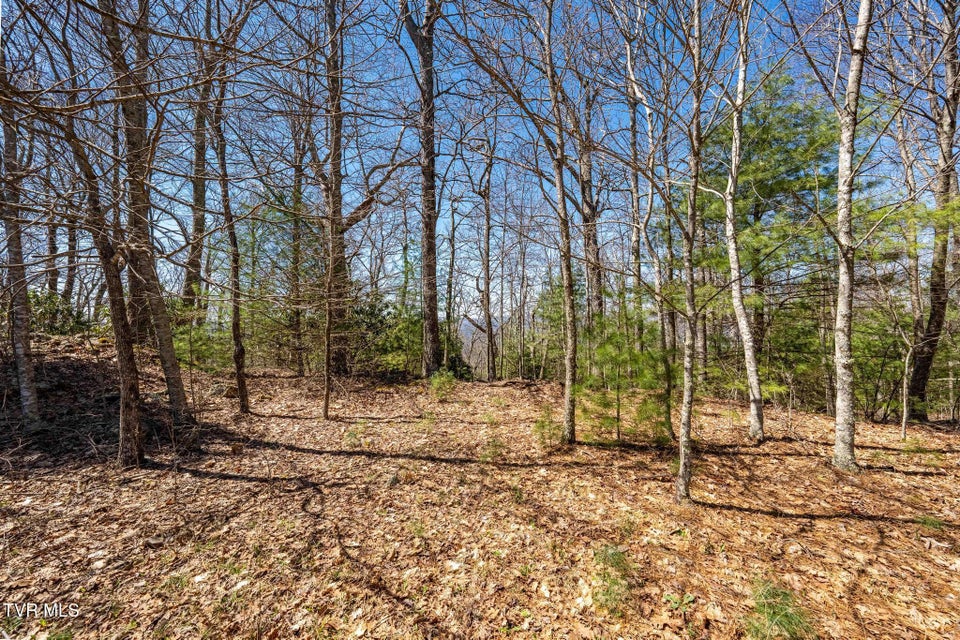 Photo #21: Lot 10 Callalantee Drive