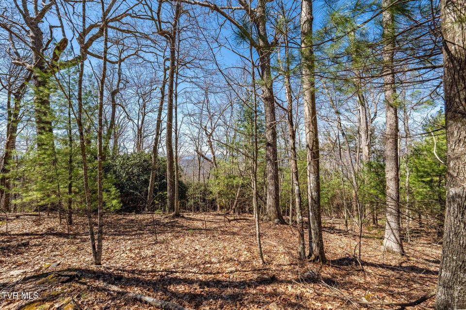 Photo #23: Lot 10 Callalantee Drive