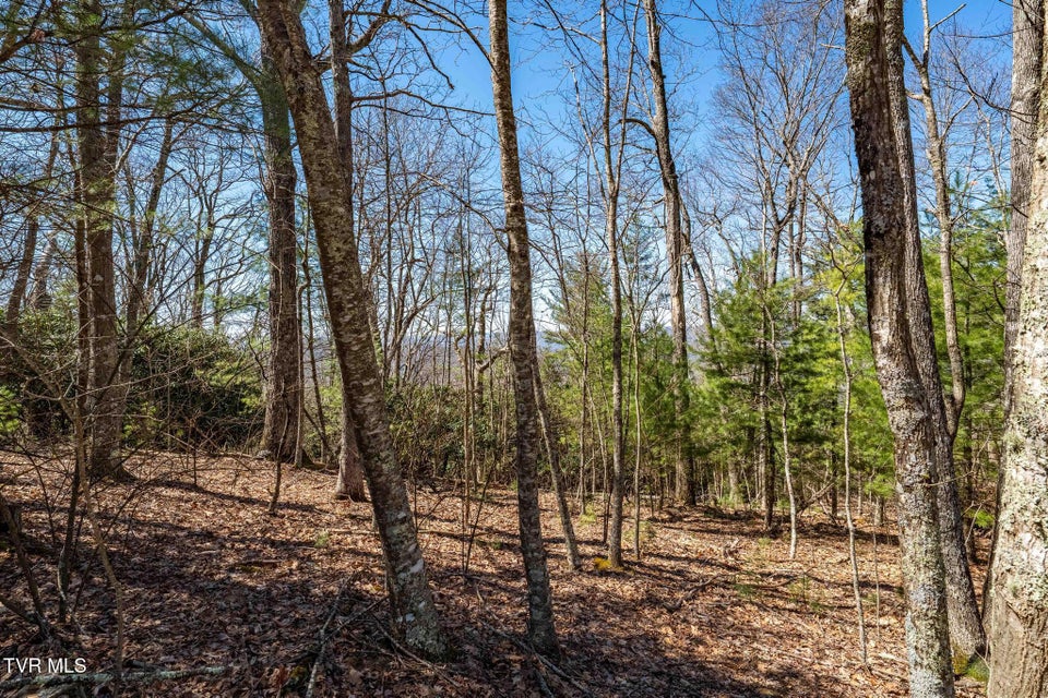 Photo #24: Lot 10 Callalantee Drive