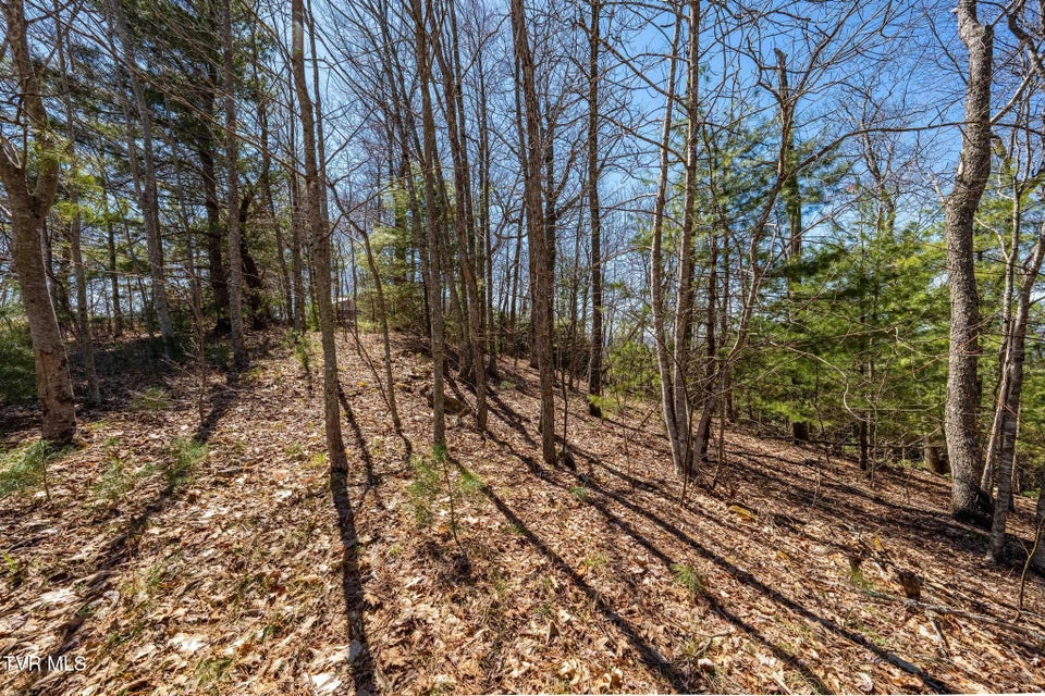 Photo #25: Lot 10 Callalantee Drive