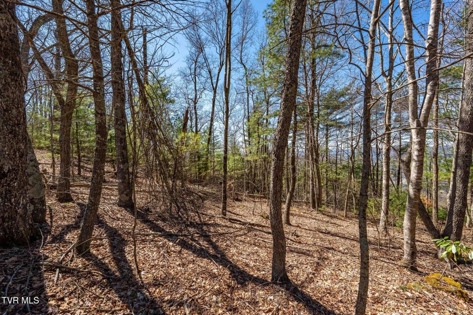 Photo #26: Lot 10 Callalantee Drive