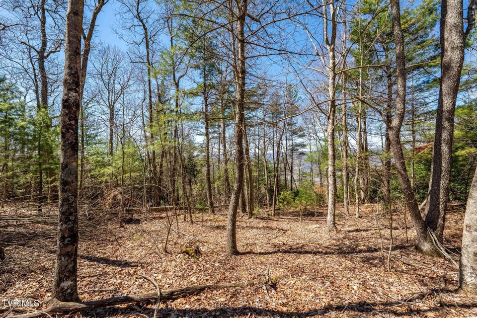 Photo #27: Lot 10 Callalantee Drive