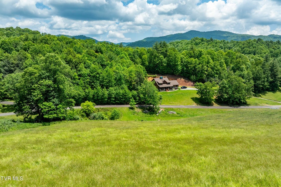 Photo #3: Tdb Ridgeview Drive