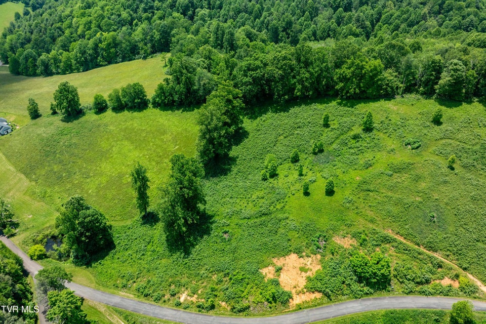 Photo #4: Tdb Ridgeview Drive