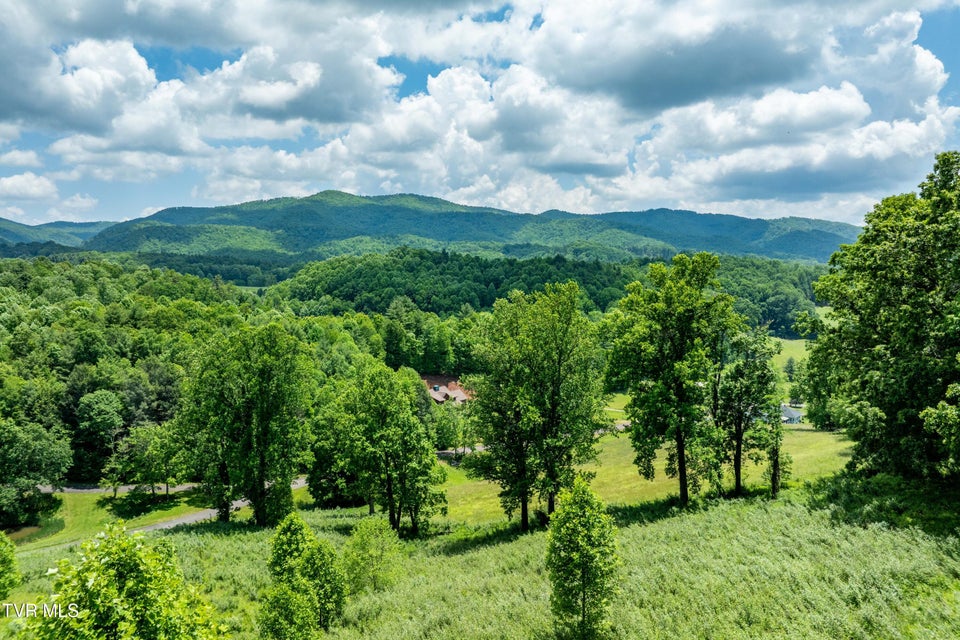 Photo #5: Tdb Ridgeview Drive