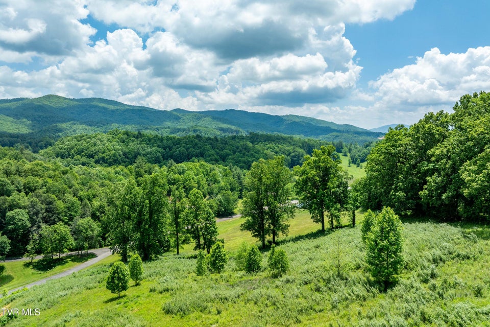 Photo #9: Tdb Ridgeview Drive