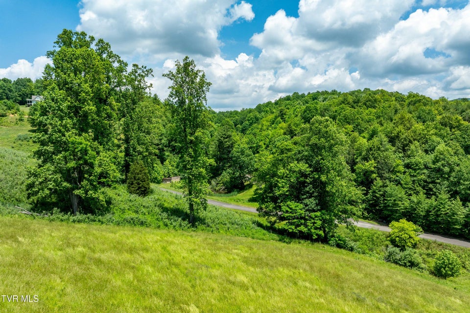 Photo #11: Tdb Ridgeview Drive