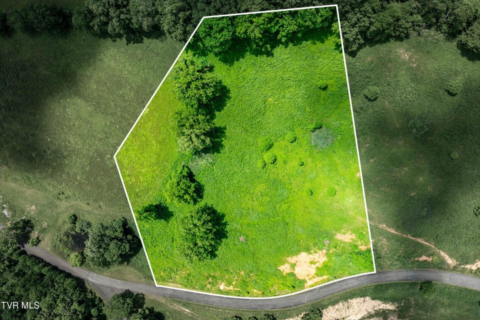 Photo #2: Tdb Ridgeview Drive