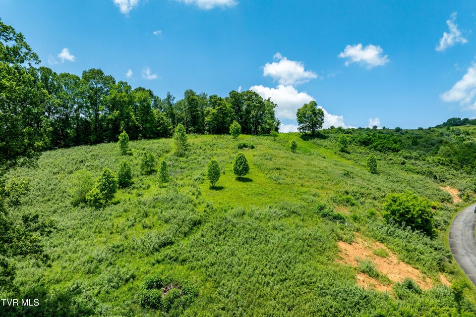 Photo #29: Tdb Ridgeview Drive