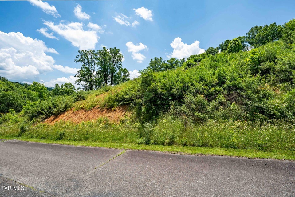 Photo #31: Tdb Ridgeview Drive