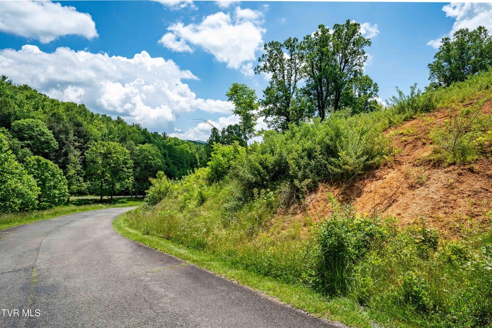 Photo #33: Tdb Ridgeview Drive