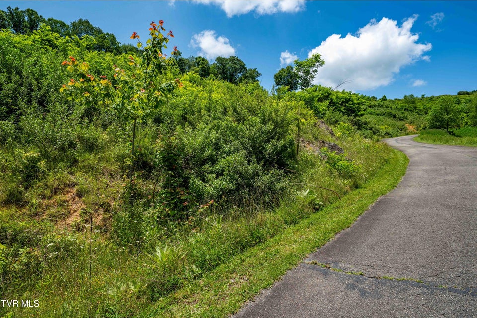 Photo #34: Tdb Ridgeview Drive