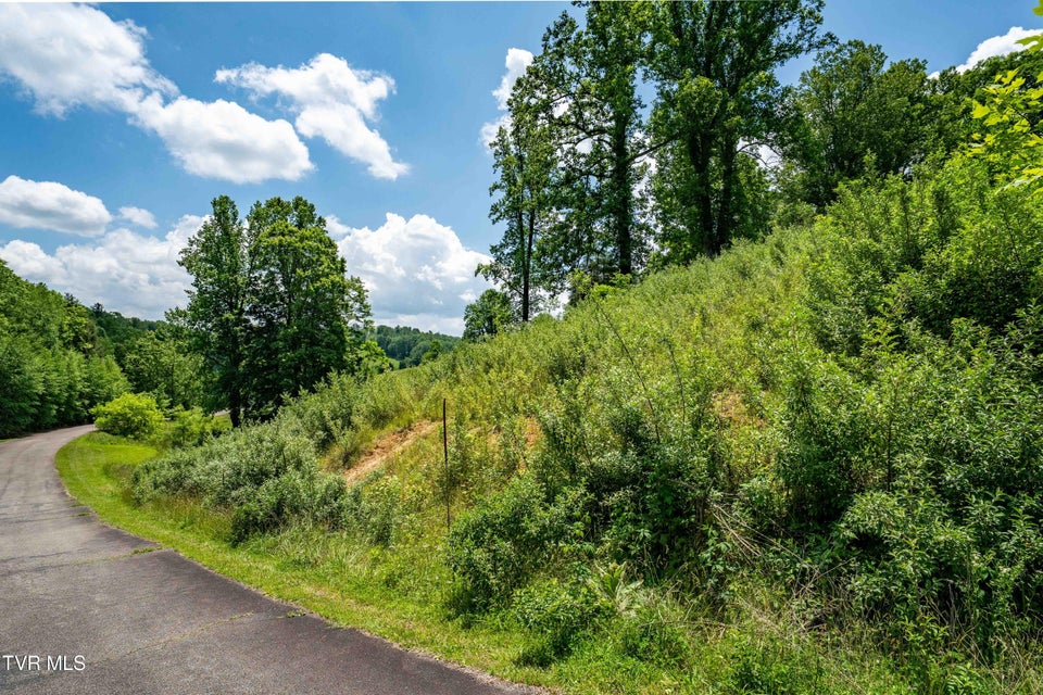 Photo #35: Tdb Ridgeview Drive