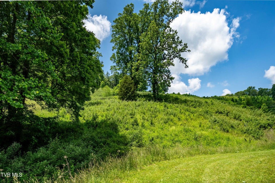 Photo #38: Tdb Ridgeview Drive