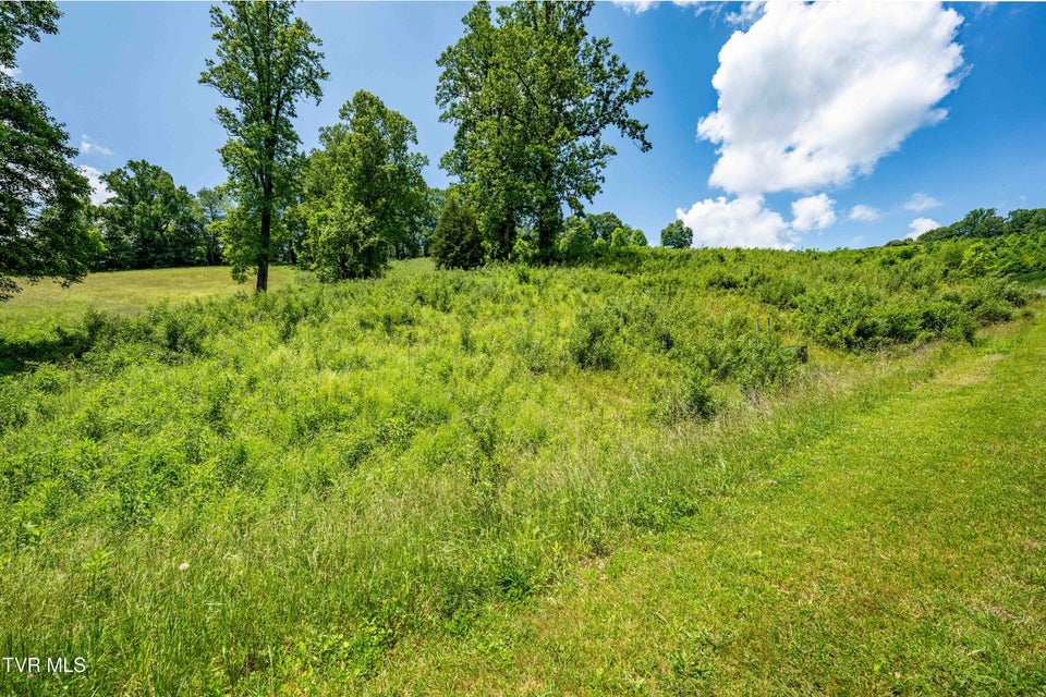 Photo #39: Tdb Ridgeview Drive