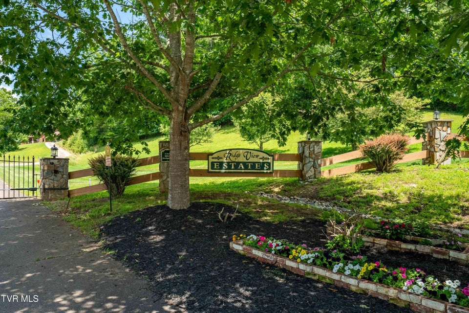 Photo #43: Tdb Ridgeview Drive