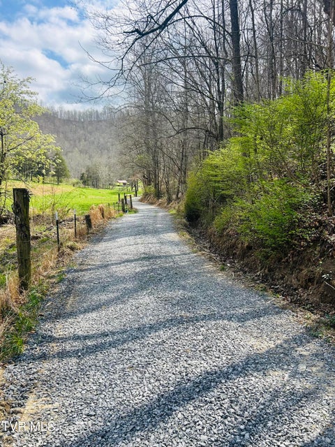 Photo #3: Tba Kingdom Rd 