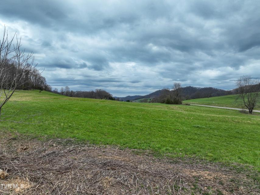 Photo #3: 3203 Gate City Highway