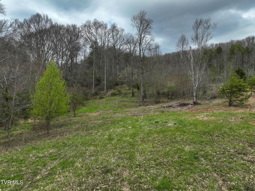 Photo #4: 3203 Gate City Highway