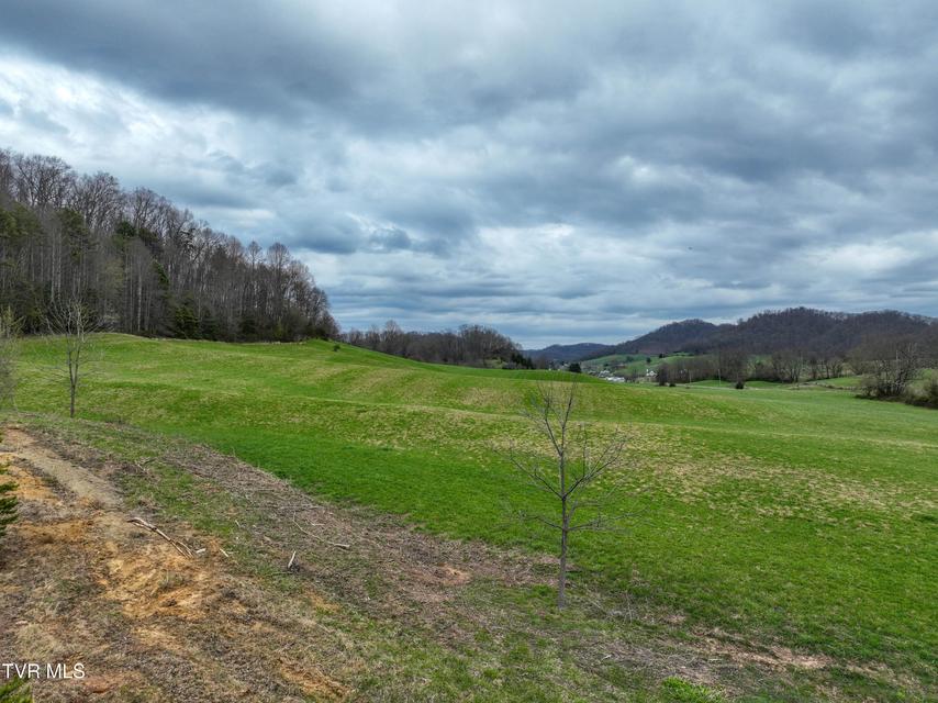 Photo #5: 3203 Gate City Highway