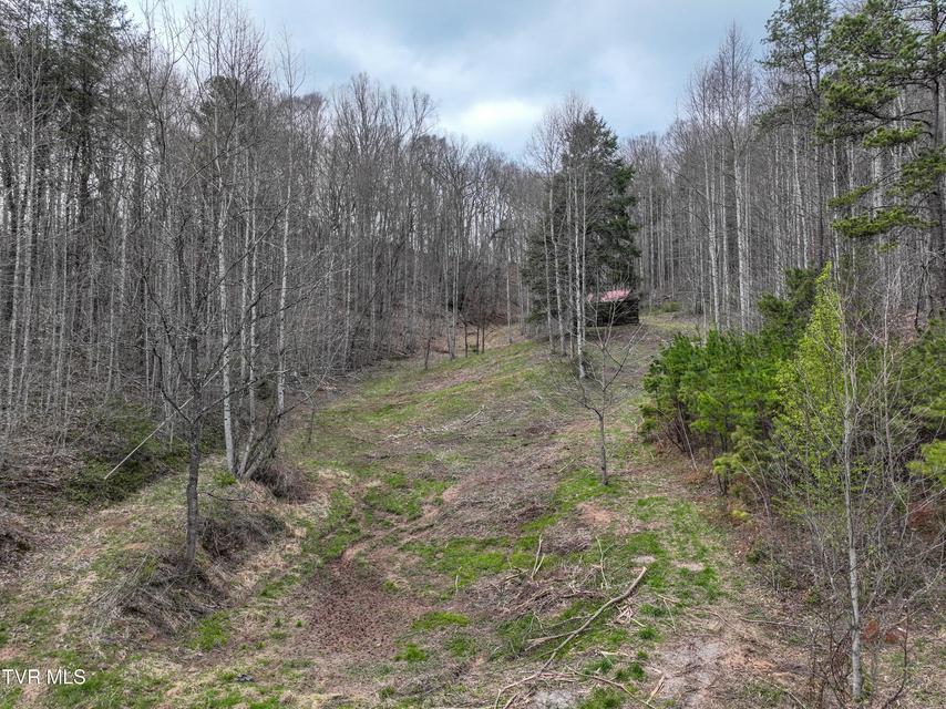 Photo #7: 3203 Gate City Highway