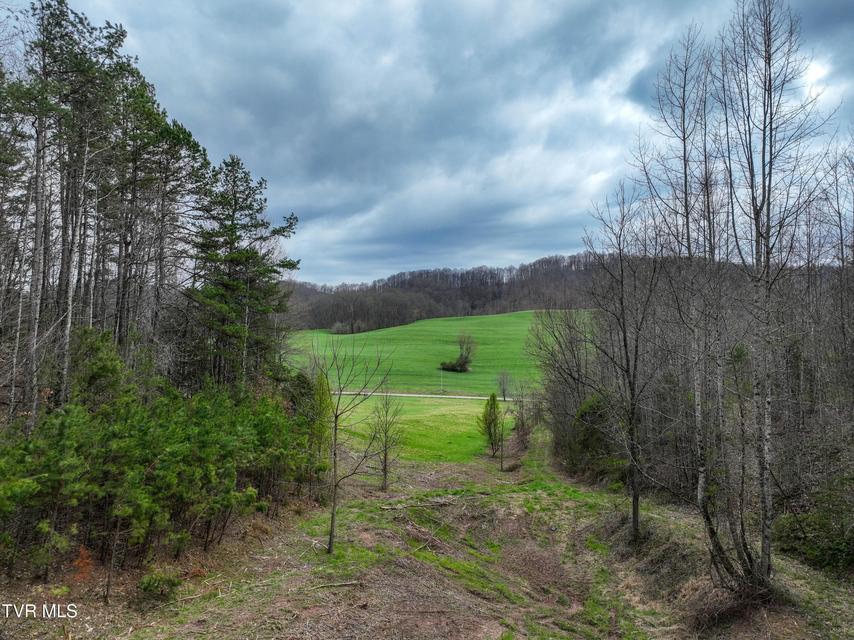 Photo #10: 3203 Gate City Highway