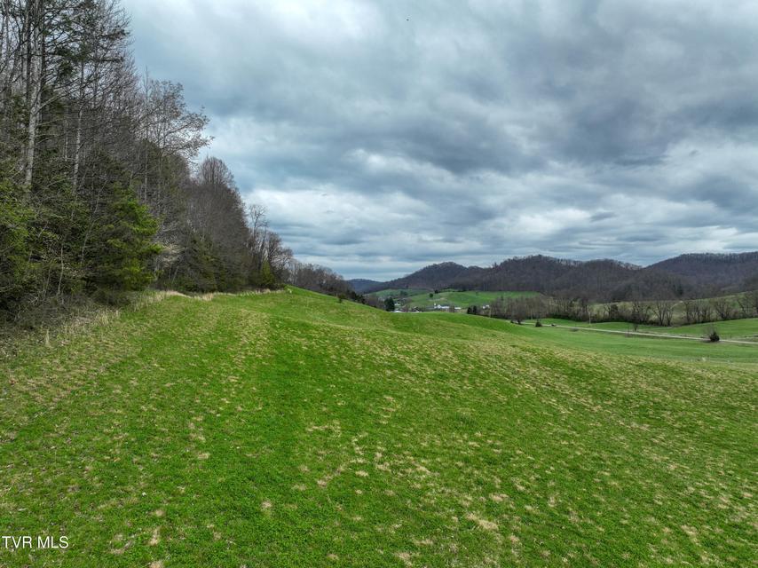 Photo #12: 3203 Gate City Highway