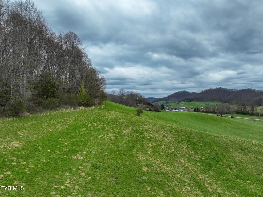 Photo #13: 3203 Gate City Highway