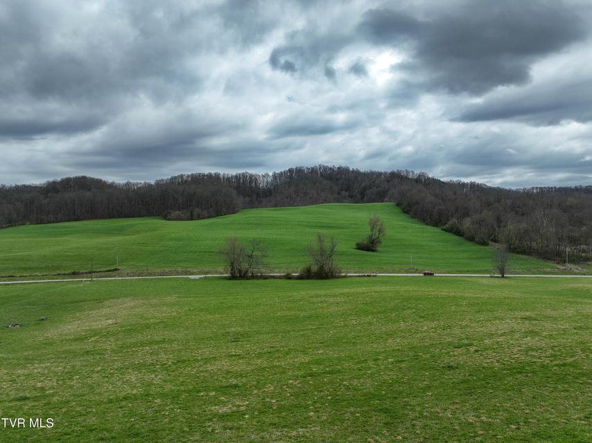 Photo #15: 3203 Gate City Highway