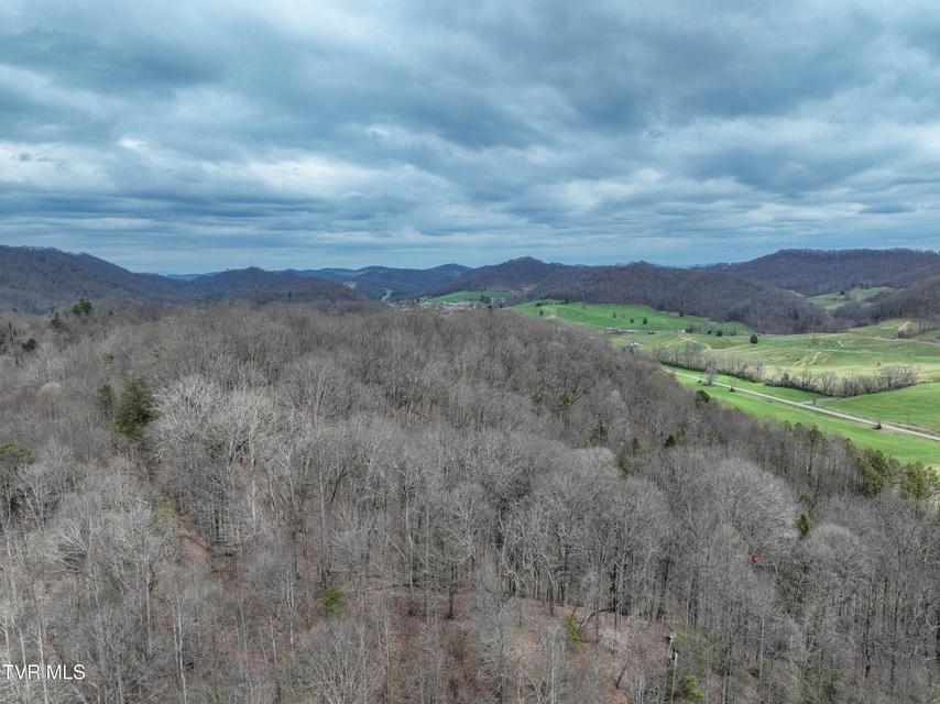 Photo #21: 3203 Gate City Highway