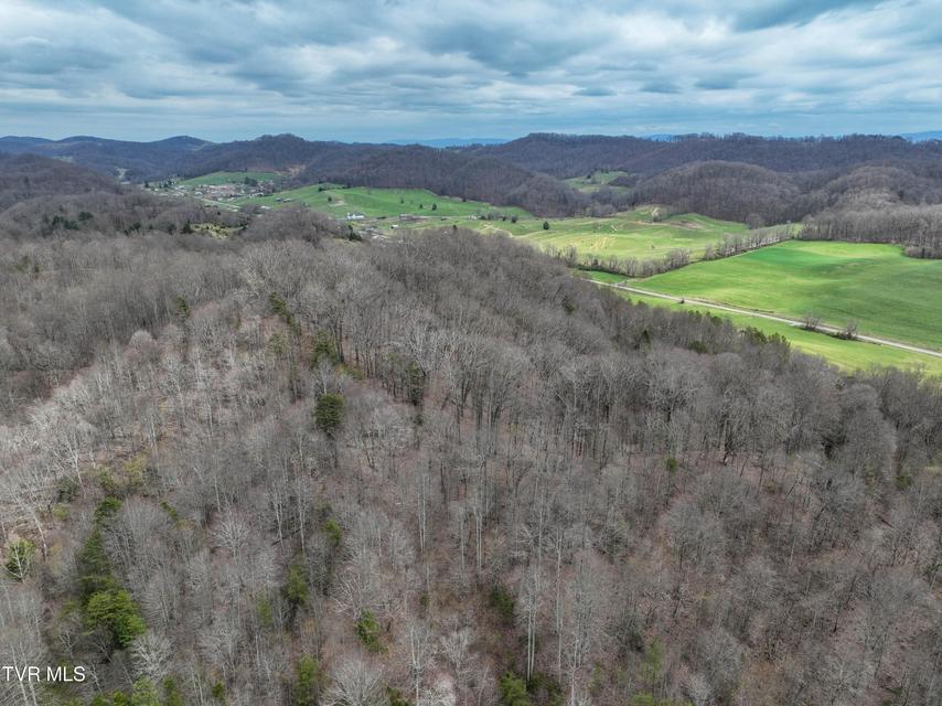 Photo #22: 3203 Gate City Highway