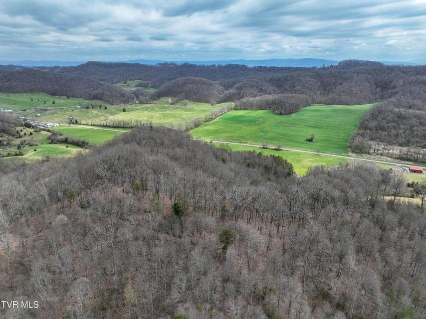 Photo #23: 3203 Gate City Highway