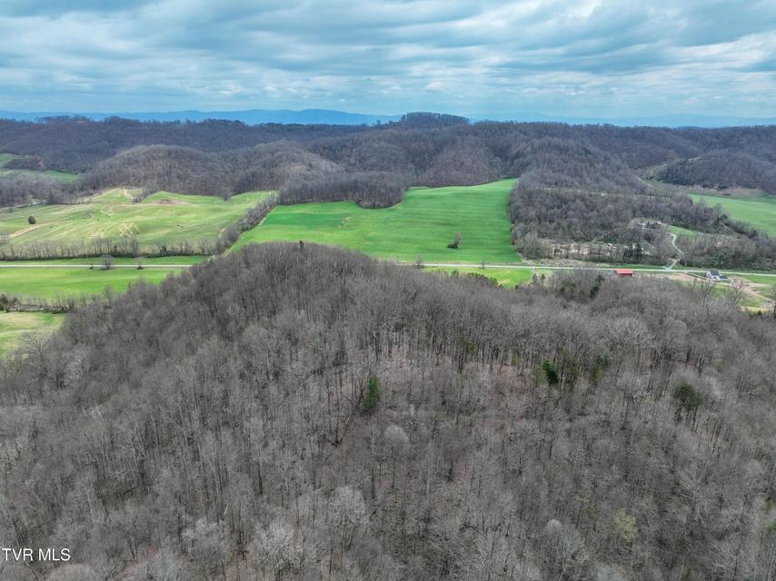 Photo #24: 3203 Gate City Highway