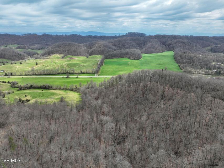 Photo #25: 3203 Gate City Highway