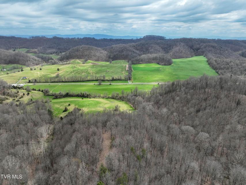 Photo #26: 3203 Gate City Highway