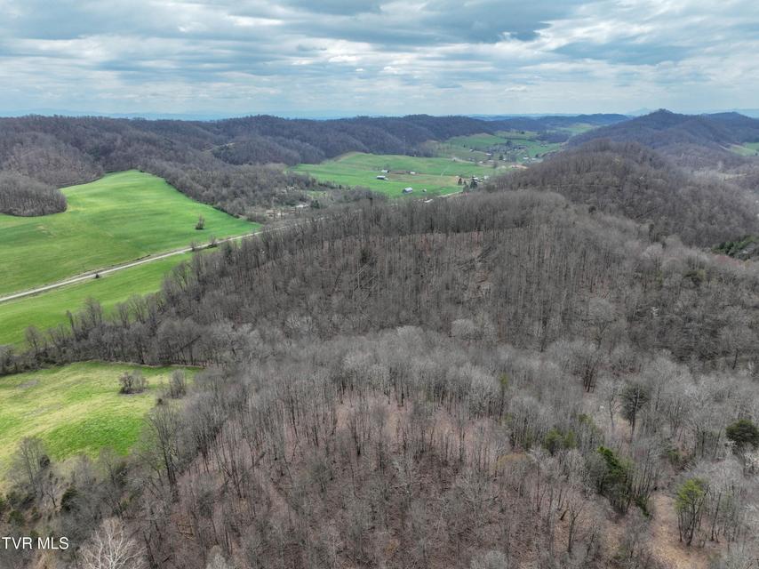 Photo #27: 3203 Gate City Highway