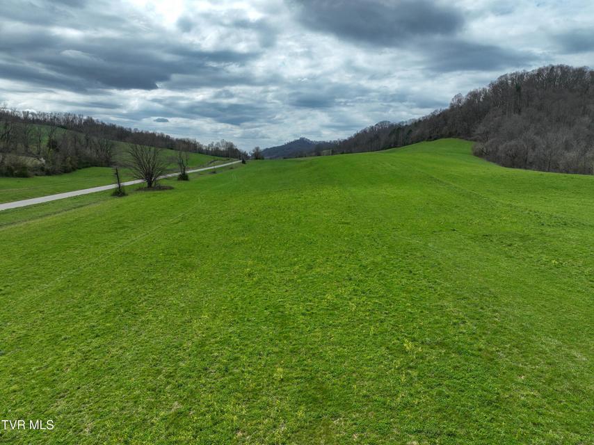 Photo #35: 3203 Gate City Highway