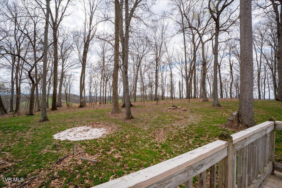 Photo #34: 257 Wesley Drive