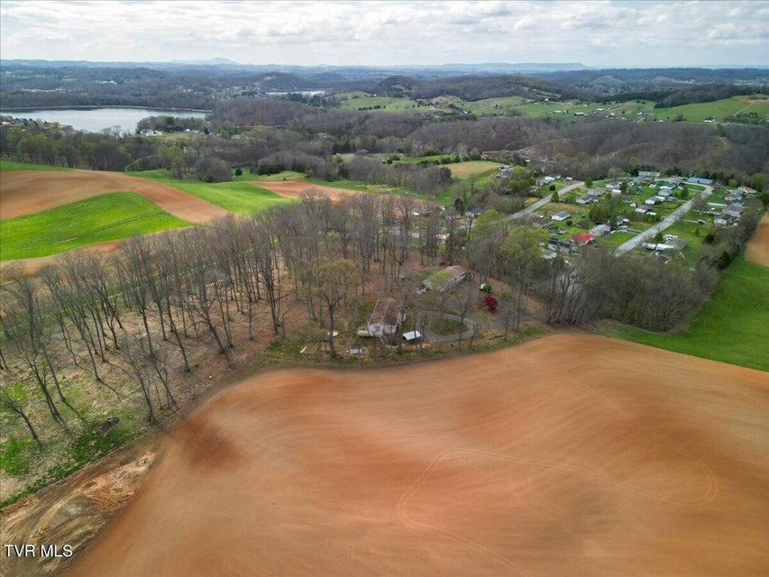 Photo #42: 257 Wesley Drive