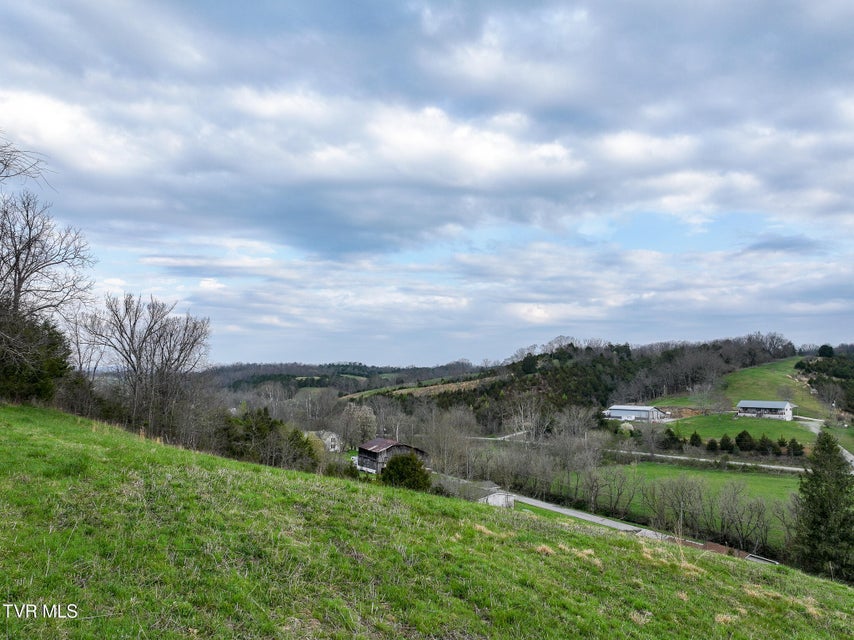 Photo #15: 1811 George Malone Road