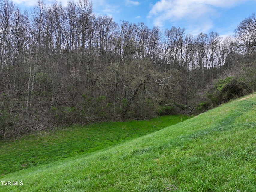 Photo #17: 1811 George Malone Road