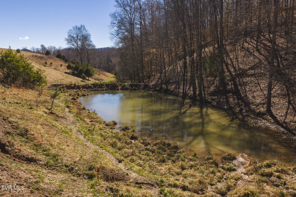 Photo #19: 100 Acres Sutton Hollow Road