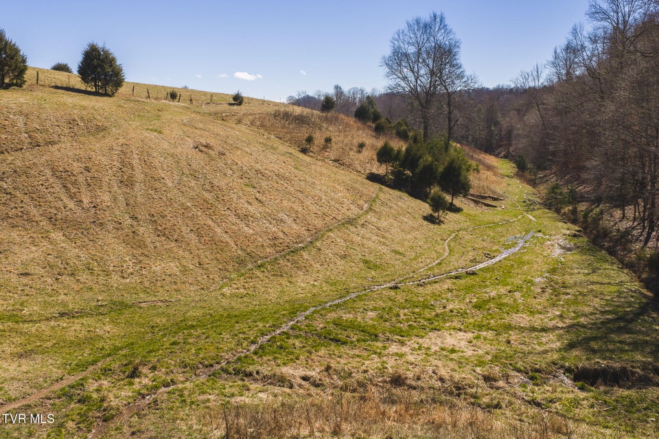 Photo #20: 100 Acres Sutton Hollow Road
