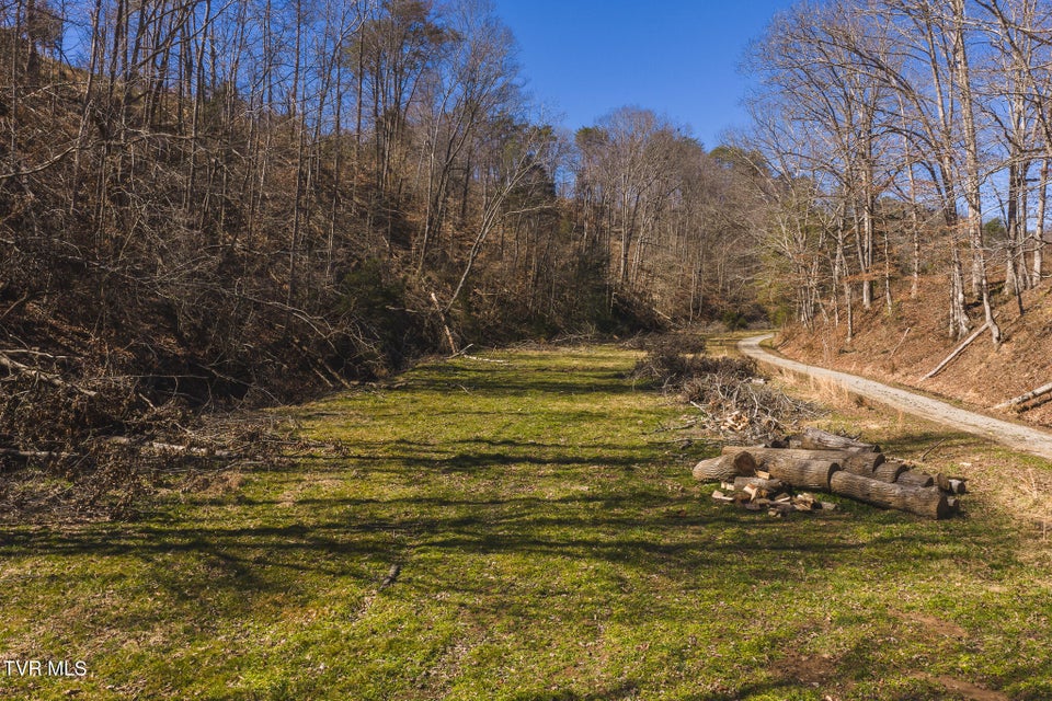 Photo #25: 100 Acres Sutton Hollow Road